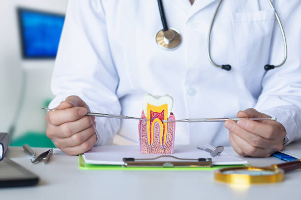 Best Emergency Denture Repair in Cannelton, IN